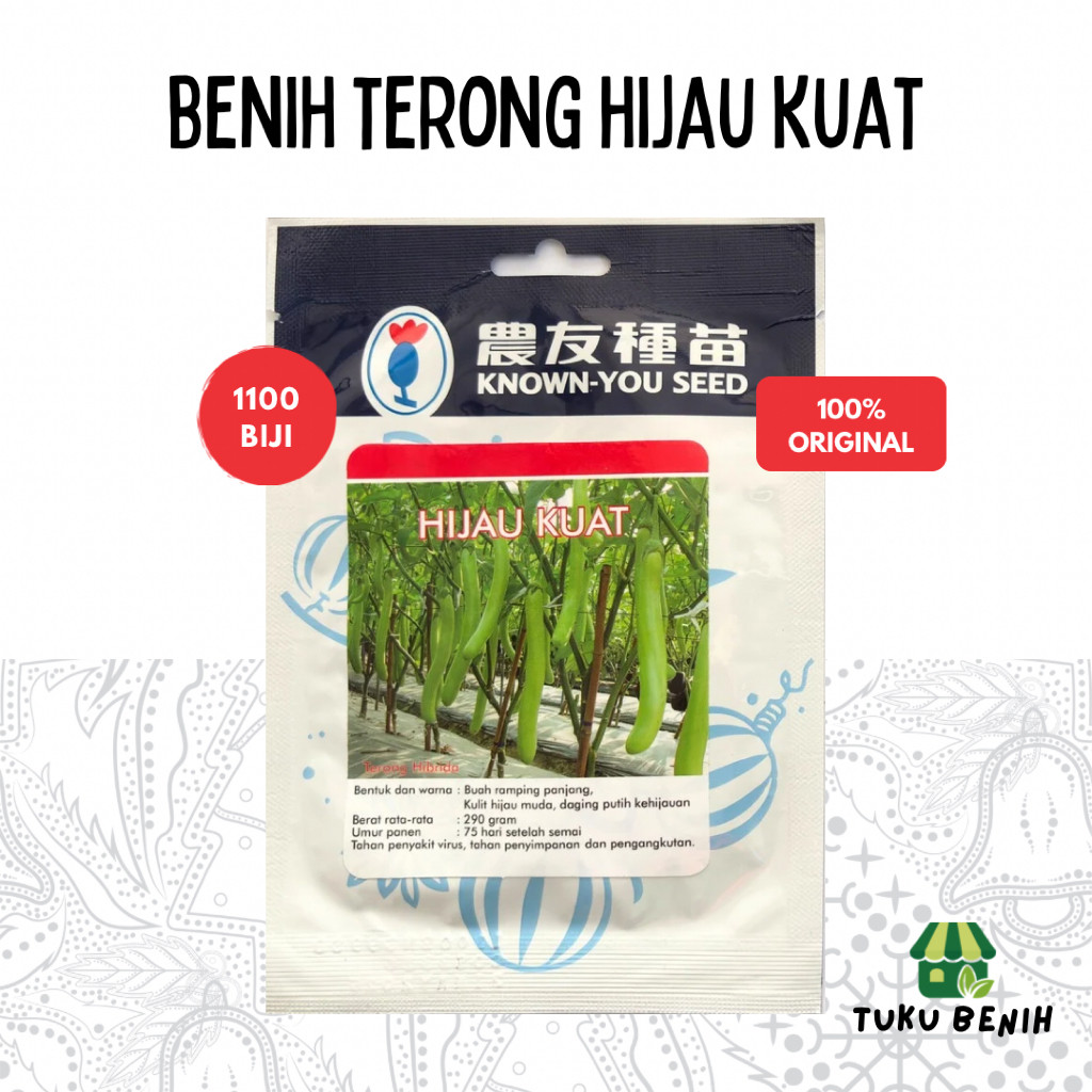 NEW Benih Terong Hijau Kuat 1100 Biji - Known You Seed TERLARIS
