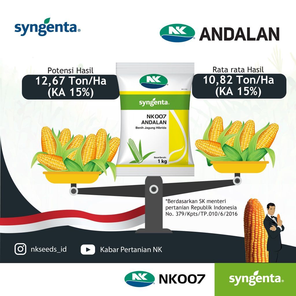 Benih jagung NK 007 ANDALAN 1 Kg/Bibit Jagung Andalan NK 007/Bibit Jagung Super 1 kg NK/Bibit