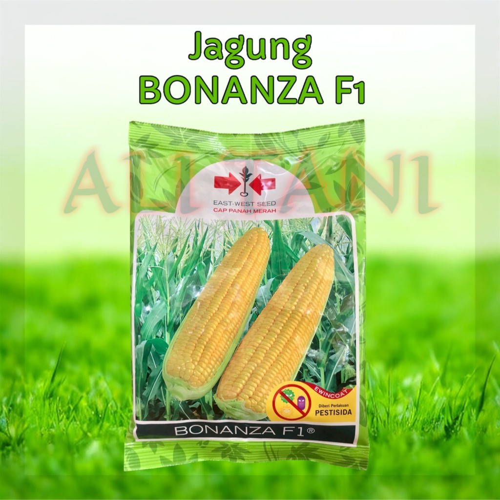 New promo [ ORIGINAL ] benih/bibit jagung manis BONANZA now f1 isi 1800 butir