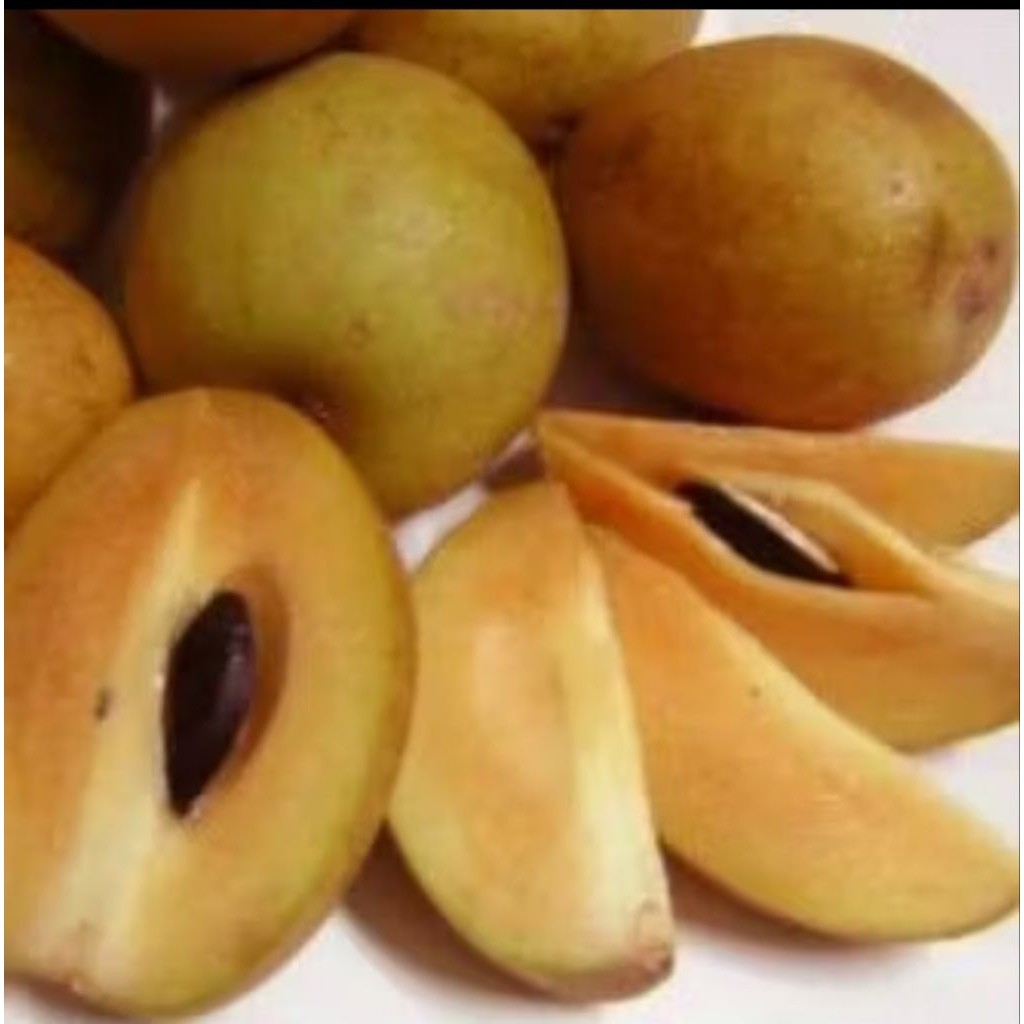 Buah Sawo Simadu 2 kg Paket Hemat dijamin manis dan legit