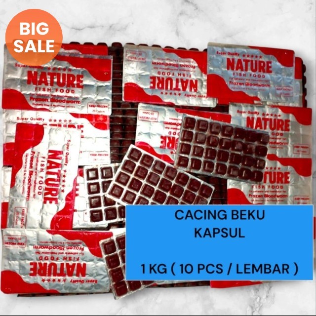 Cacing beku bloodworm 100 gram paket 5 pcs / cacing beku kapsul / cacing beku / pakan ikan / pakan i