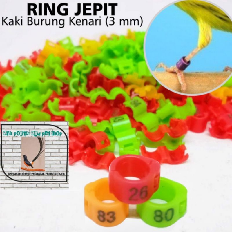 RING JEPIT 3 MM UNTUK KAKI BURUNG KENARI, BURUNG CIBLEK