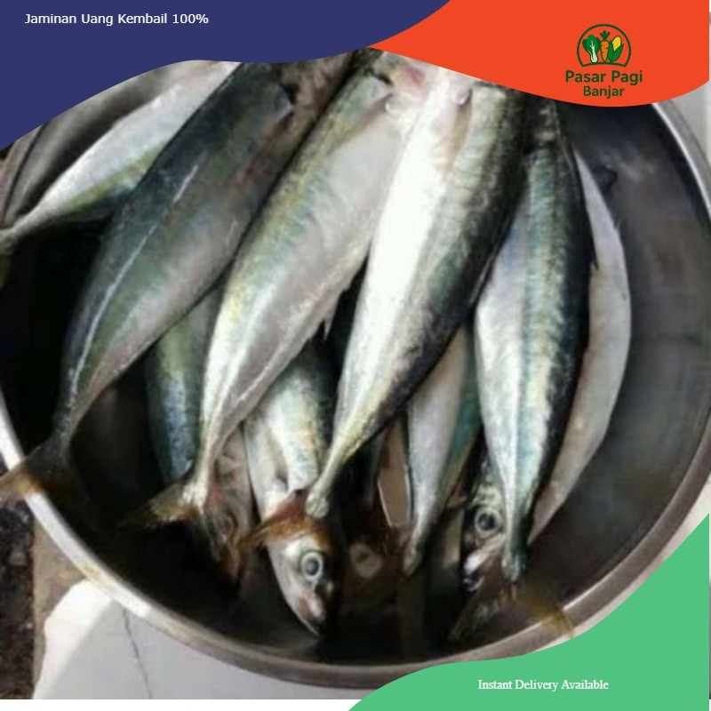 IKAN LAYANG / IKAN PINDANG per 500 gram