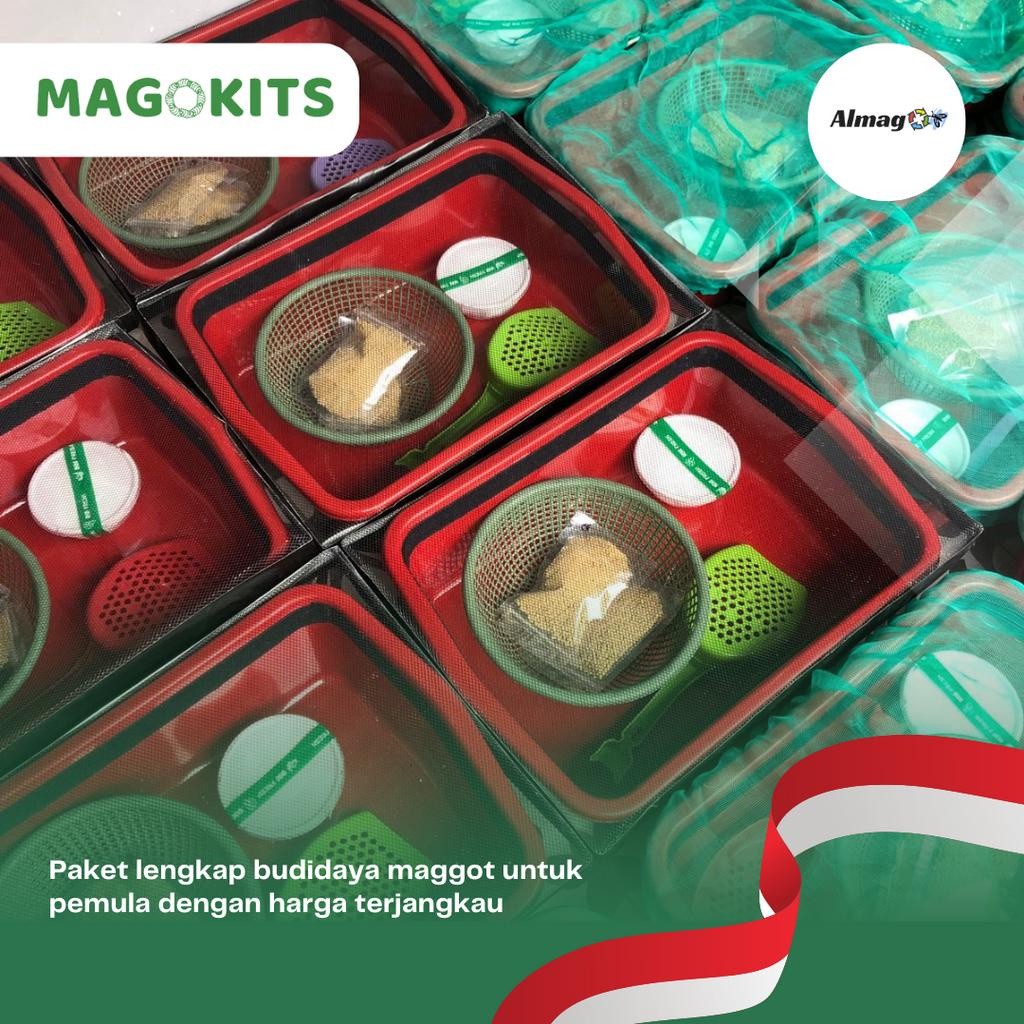 TERLARIS ReadyMagokits Maggot Starter Kit Box Paket Budidaya Maggot Ekonomis by Magobox
