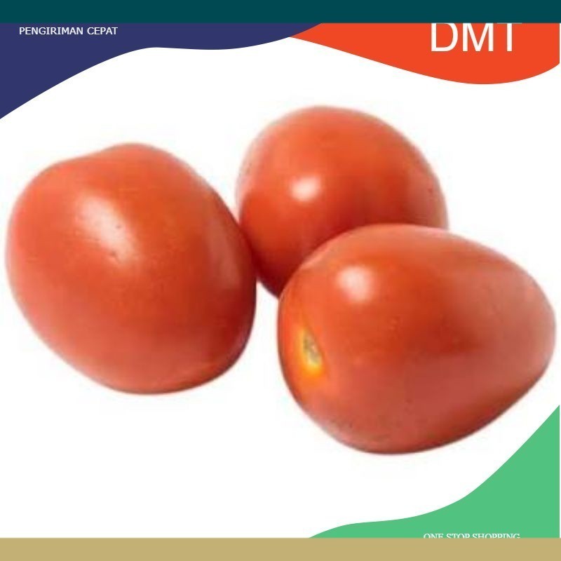 Tomat Merah Super (Tomat Buah / Tomat Jumbo)
