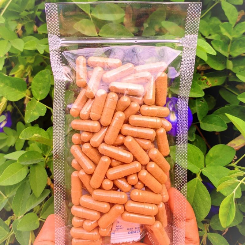 Kapsul Purwoceng (isi 100) Jamu Jerbal