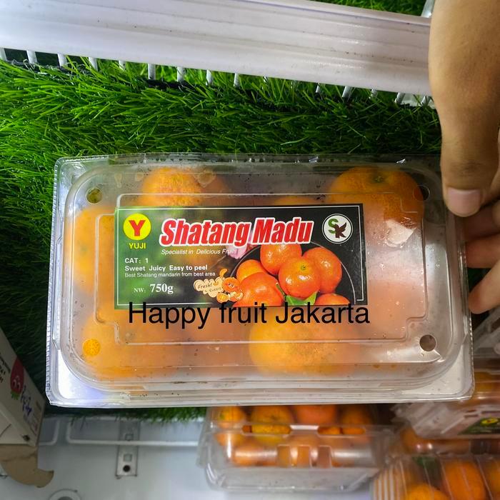 Jeruk shantang madu yuji manis | jeruk yuji santang manis tampa biji