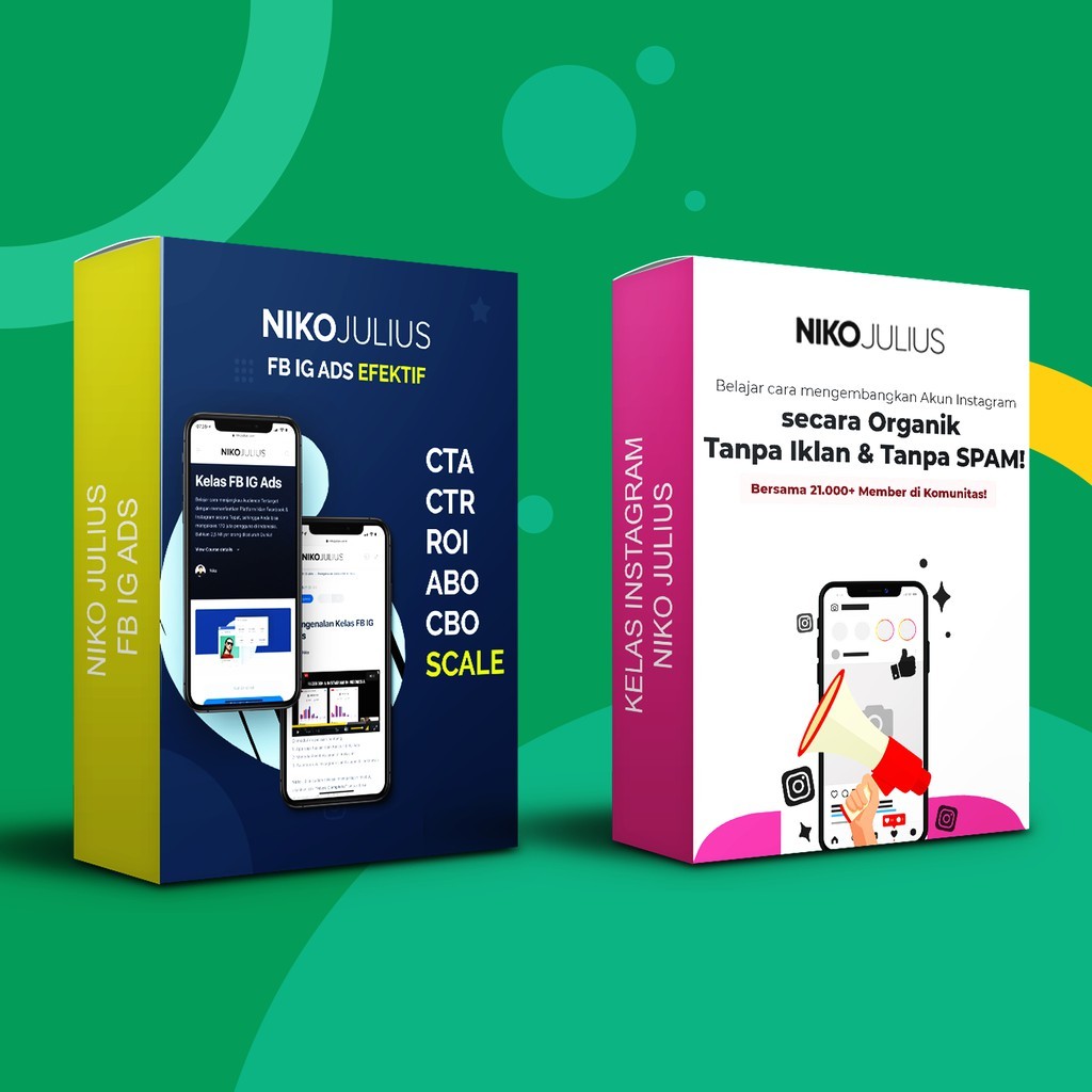 Kelas Niko Julius FB IG Ads Dan InstaOrganik