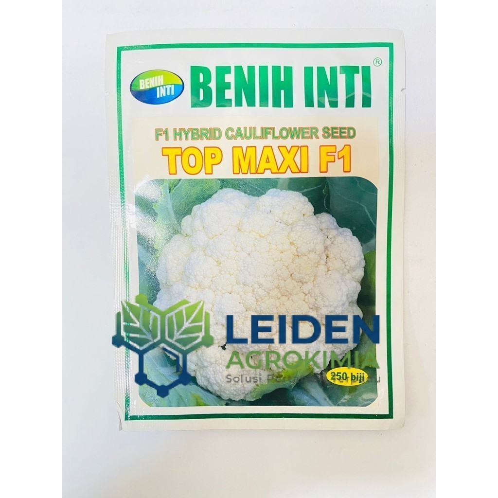 Benih cauliflower F1 TOP MAXI isi 250 biji  PT DINASTY INTI AGRO