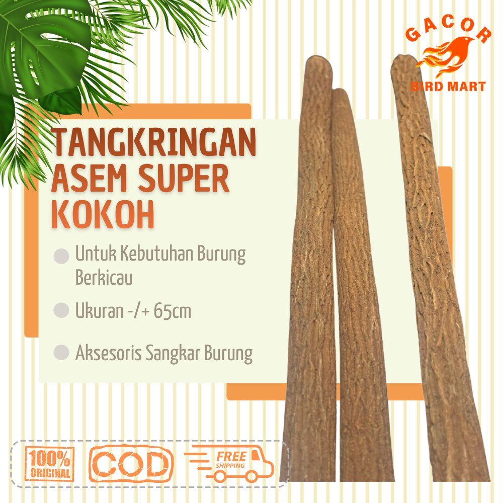 Tangkringan Asem Jawa Super Pangkringan Kayu Asem Jawa Super Grade A Sangkar Burung