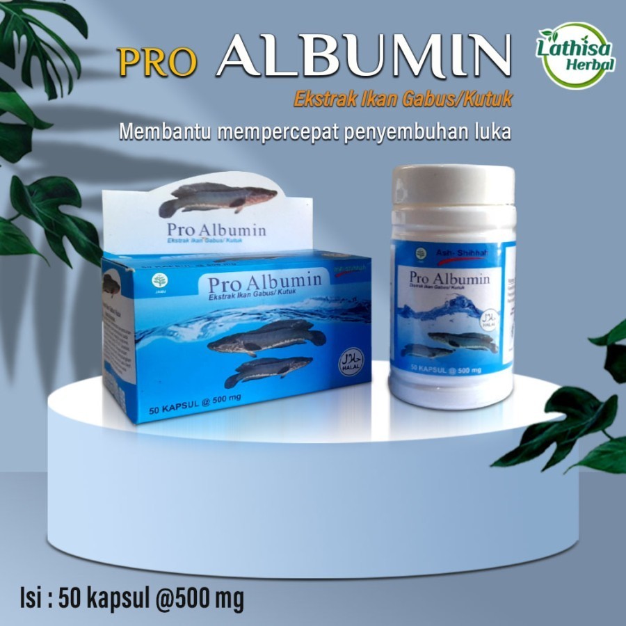 PRO ALBUMIN EKSTRAK IKAN GABUS 50 KAPSUL Obat Pra Operasi-PRO ALBUMIN OBAT LUKA (23)