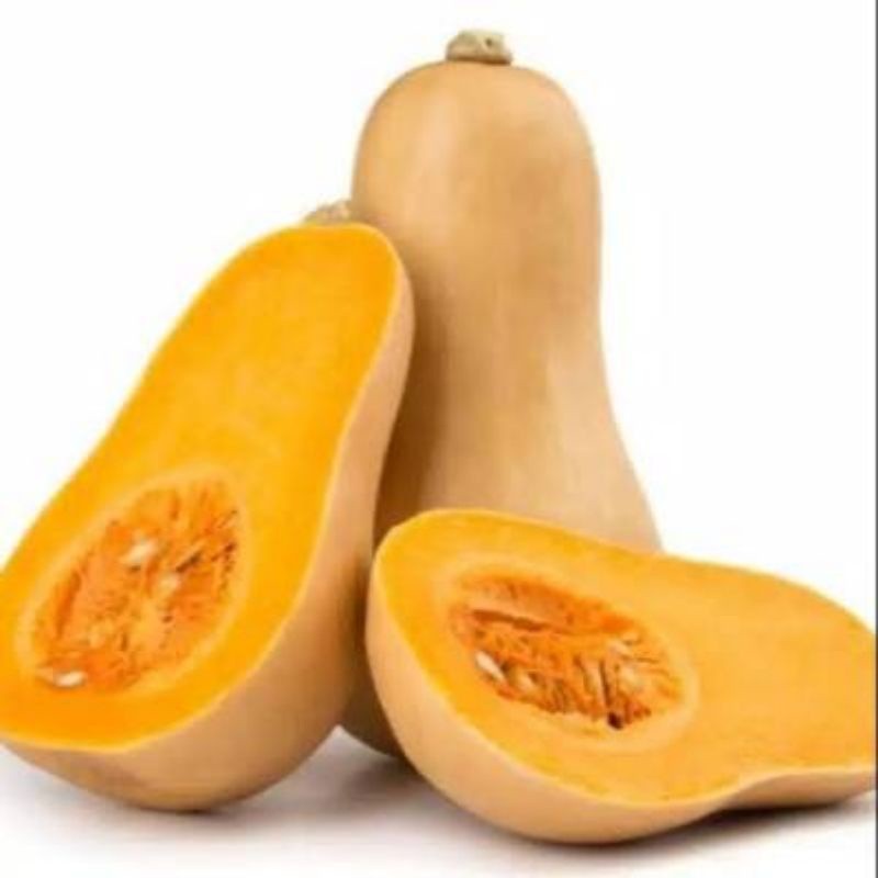 Labu Butternut / Labu Madu Premium Segar Manis Fresh