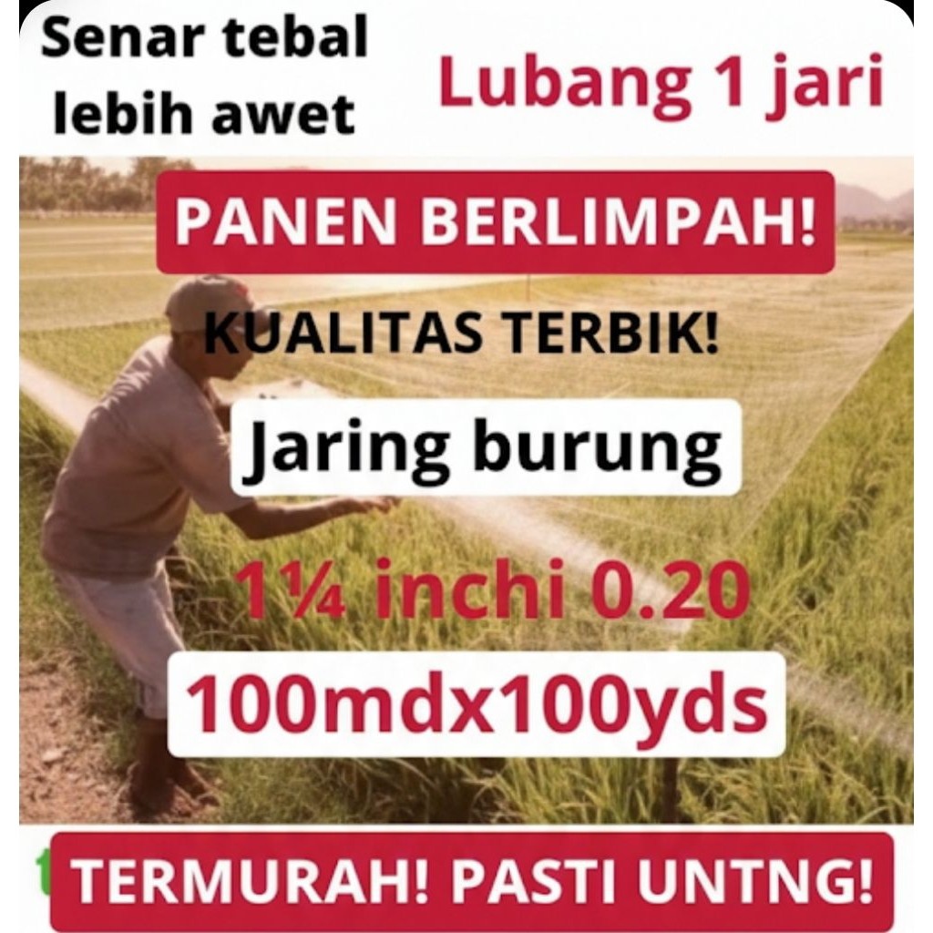 Jaring Burung Sawah – Lubang 1 Jari | Jaring Emprit & Pipit, Pengaman Padi