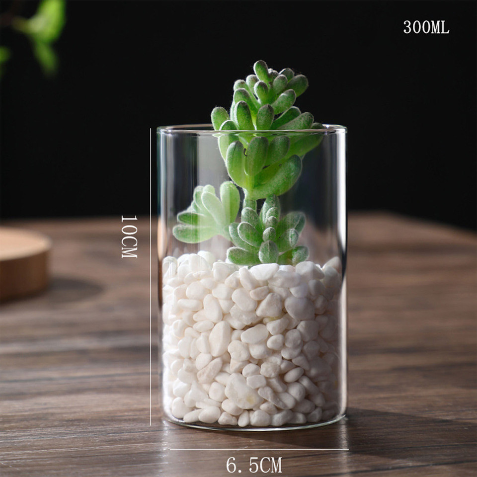Transparent Glass Hydroponic Vase Minimalist Glass Vase Cylinder Flower Vase for Home Office Wedding