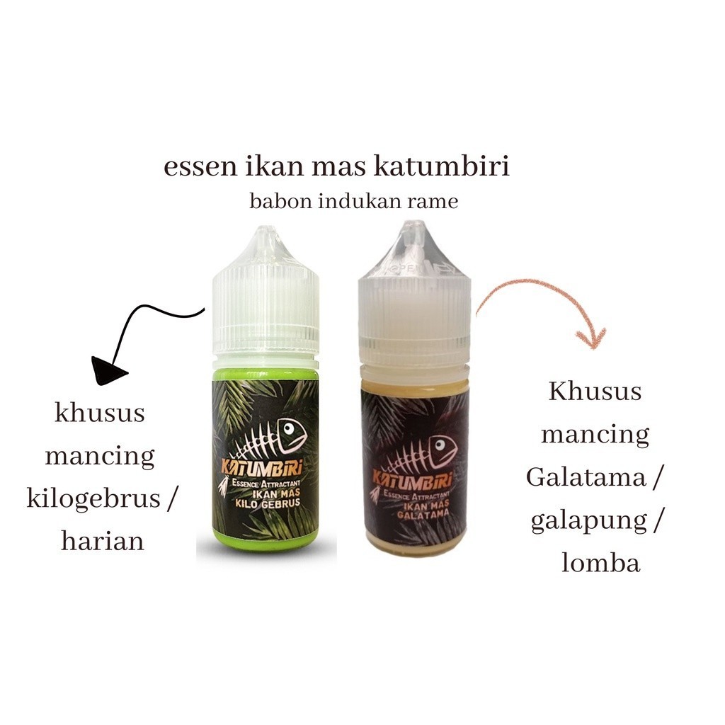 essen katumbiri ikan mas mancing harian lomba