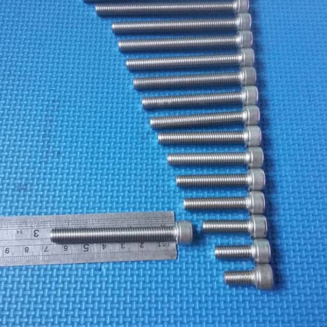 Baut L stainless L6 / 8x65mm