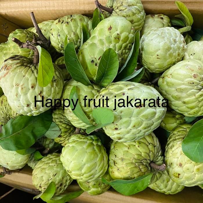 Srikaya lokal super | Buah srikaya super fresh manis 1 kg