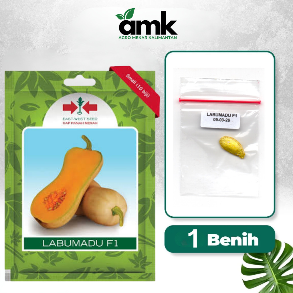 Cap Panah Merah - LABU MADU ECERAN 1 Butir