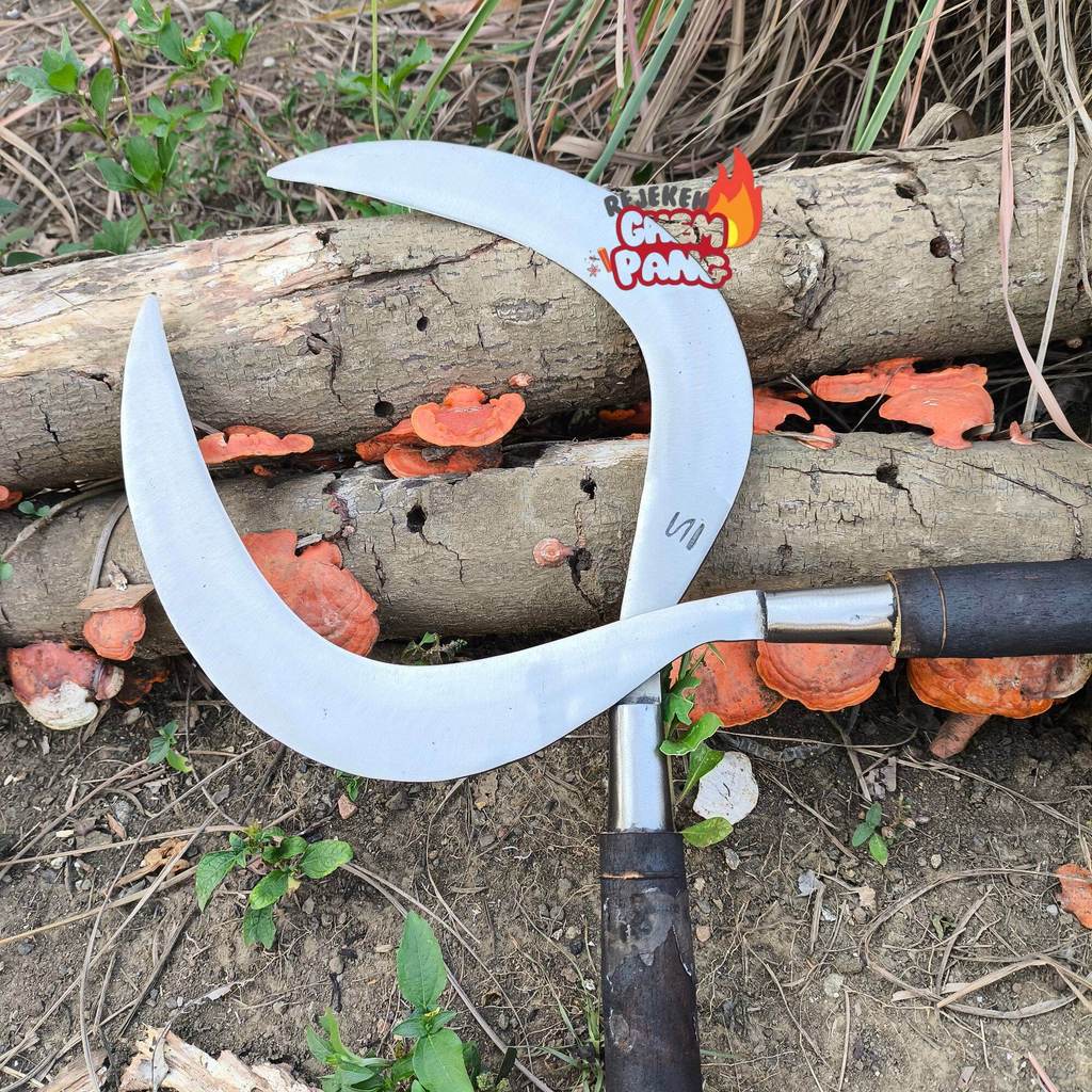 Arit Rumput Kuat Dan Tajam/Arit Rumput Dan Padi/Arit Baja Per/Arit  Rumput Asli Madura Bangkalan