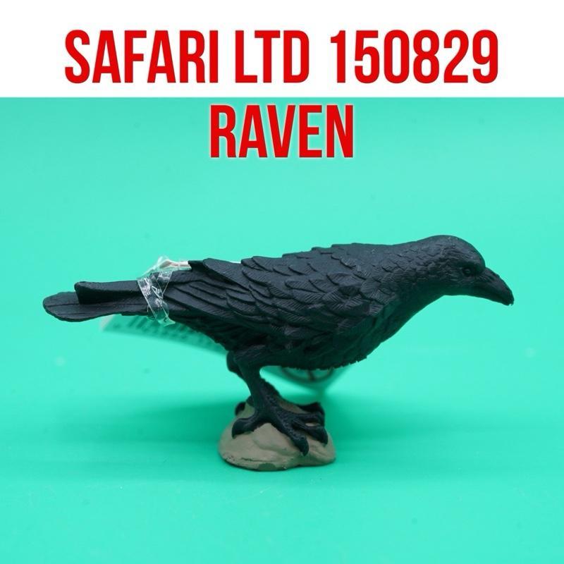 Safari Ltd 150829 Raven Bird Crow Burung Gagak Utara Corvus Corax | Mainan Figure Binatang Miniature