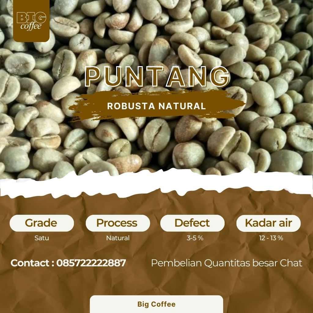 green Bean  biji kopi Robusta Puntang - Fine - 1kg