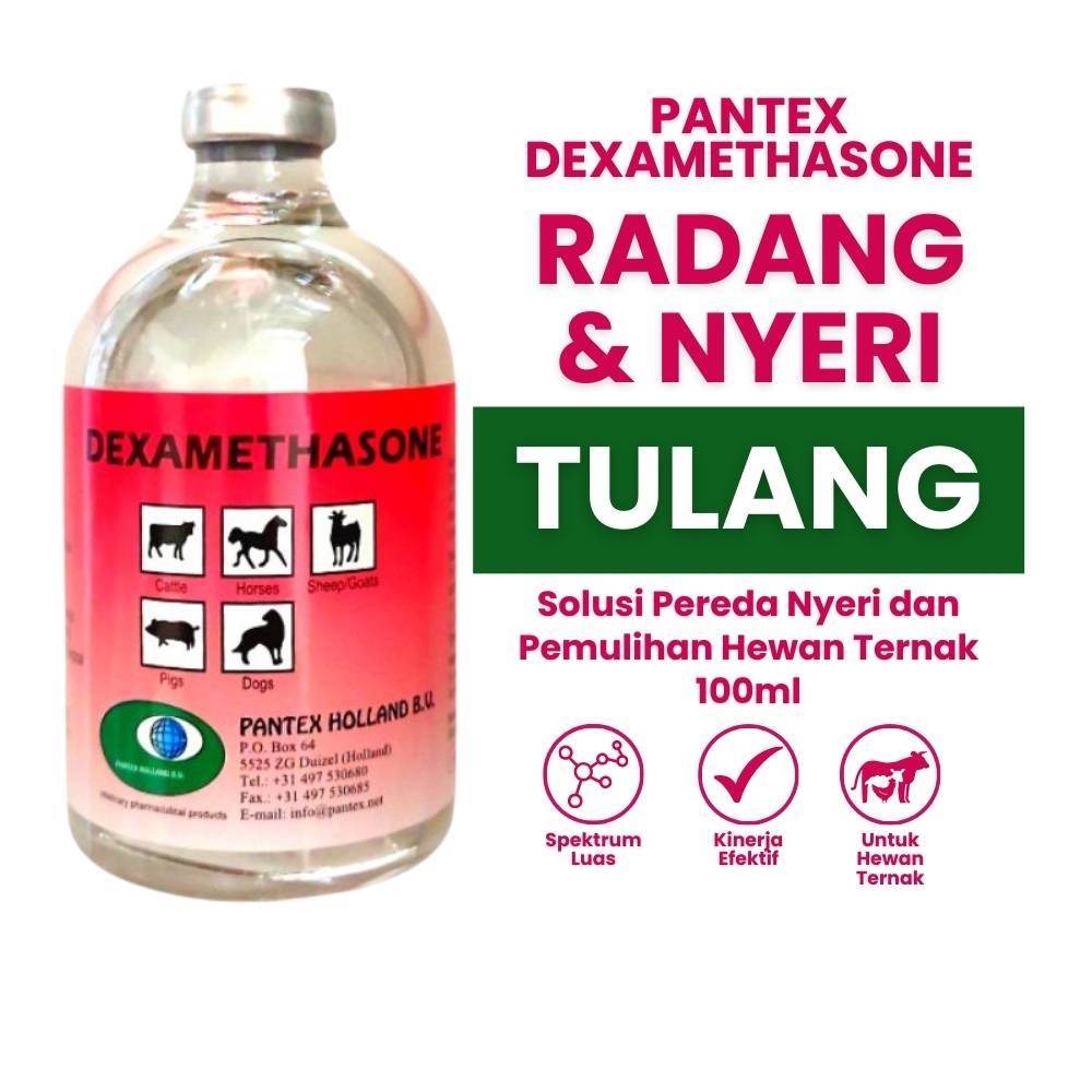 Anti Inflamasi Dexamethasone 2mg/ml Injeksi 100ml untuk Sapi Kambing Domba Babi Anjing Kucing