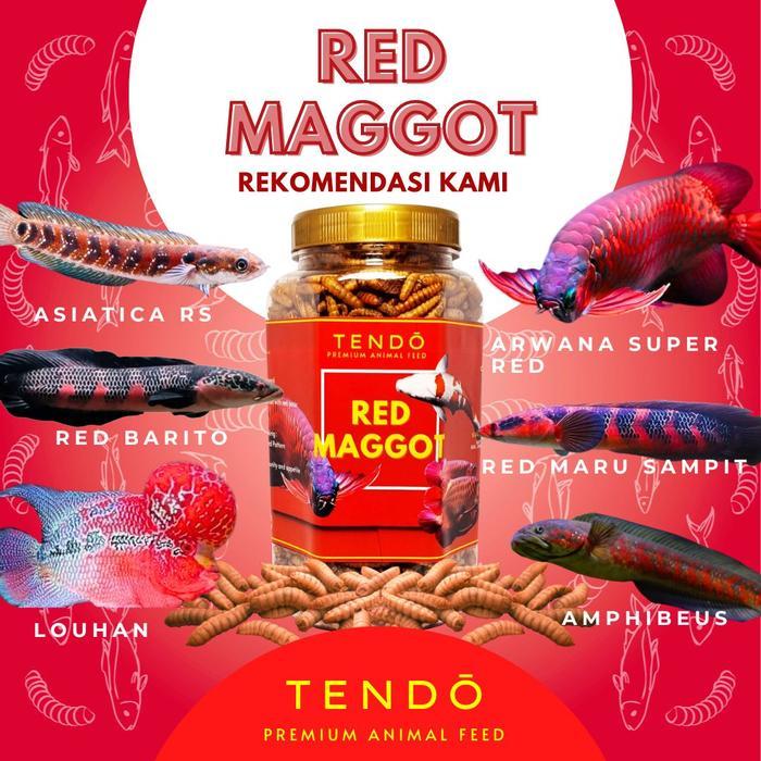 Maggot BSF Maggot Kering Pakan Makanan Ikan Koi Predator Tendo - Red