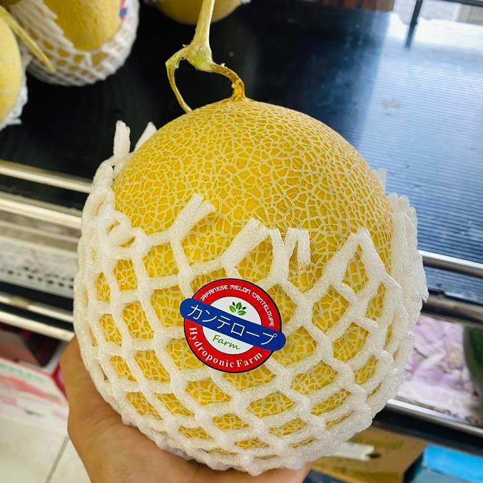 Melon jepang inthanon | melon inthanon jumbo manis fresh 2 kg