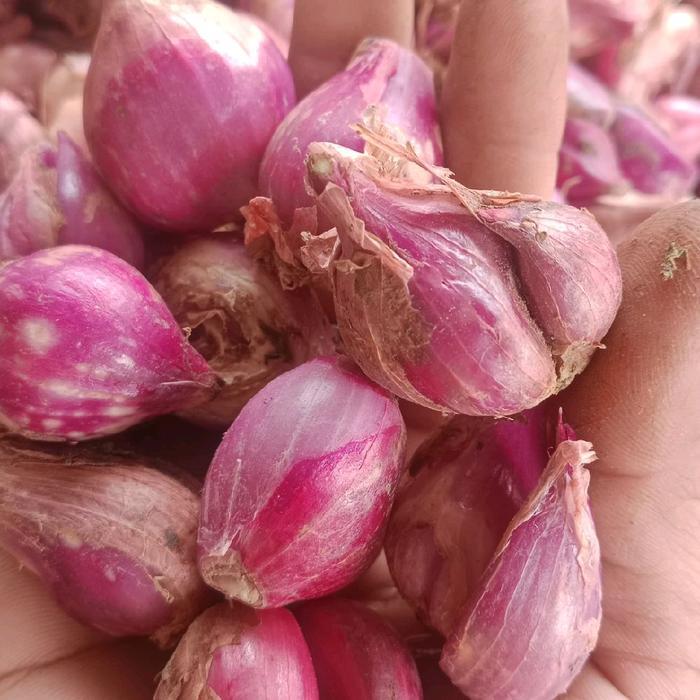 BAWANG MERAH DAN BAWANG PUTIH - Bawang merah .