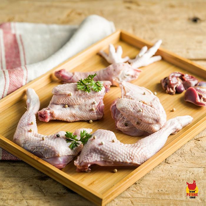 Ayam pejantan / Ayam potong fresh 7 ons (hidup) - 4