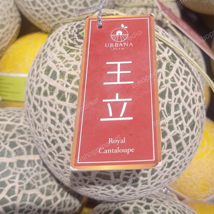 Melon Musk Royal Cantaloupe / pics