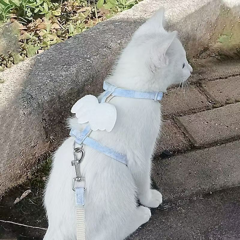 Tali penuntun kucing, tali pengikat yang dapat disesuaikan, rantai untuk jalan-jalan