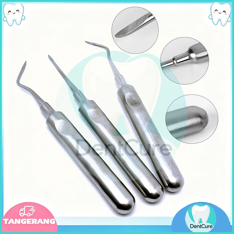 3PCS Dental Elevator Dental Luxator Cabut Gigi Luxator Dental Lurus Dan Bengkok/Root Elevator Dental