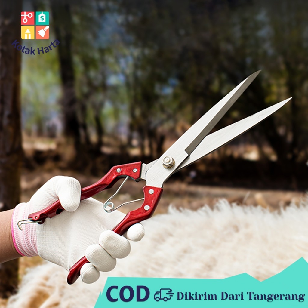 30cm Gunting Cukur Domba Wool Scissor Alat Cukur Kambing Domba Gunting Bulu Domba Manual Multifungsi