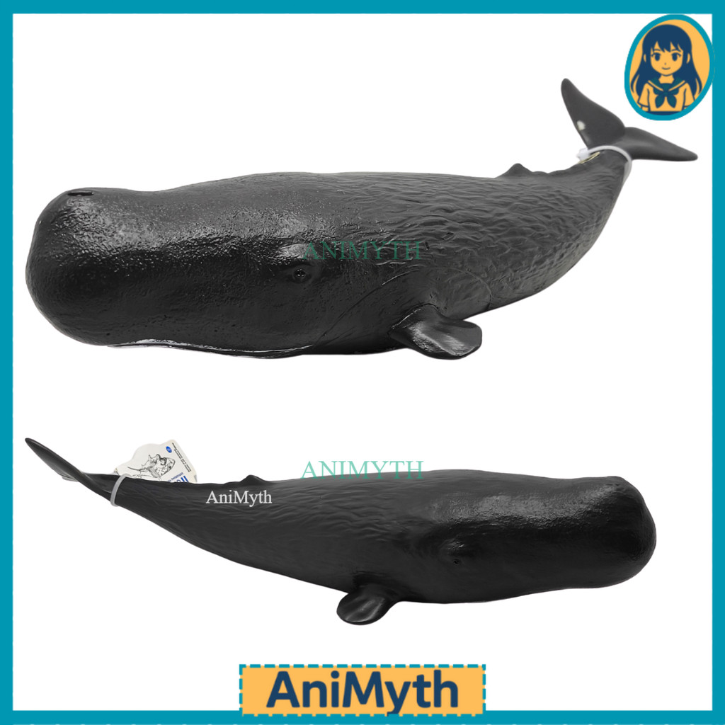 Mainan Figure Ikan Paus Sperma Sperm Whale Physeter macrocephalus Hewan Laut