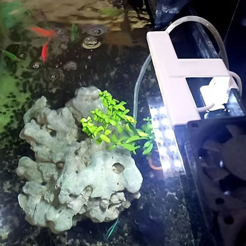 LAMPU AQUARIUM MINI LED Lampu LED akuarium / aquascape, LED warna, lampu perangsang ikan, Lampu LED 