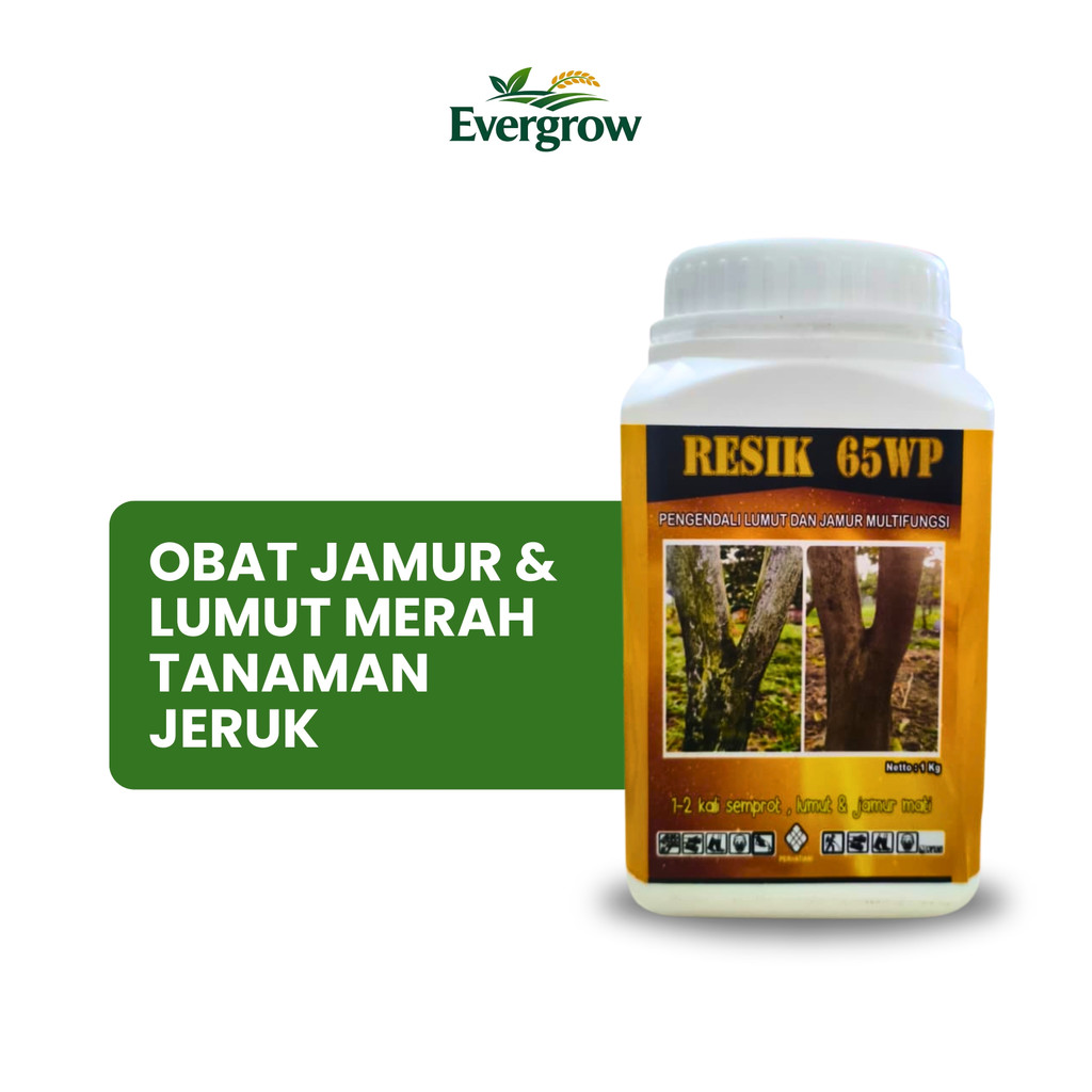 Fungisida RESIK 65WP 1kg – Obat Jamur & Lumut Merah Tanaman Jeruk