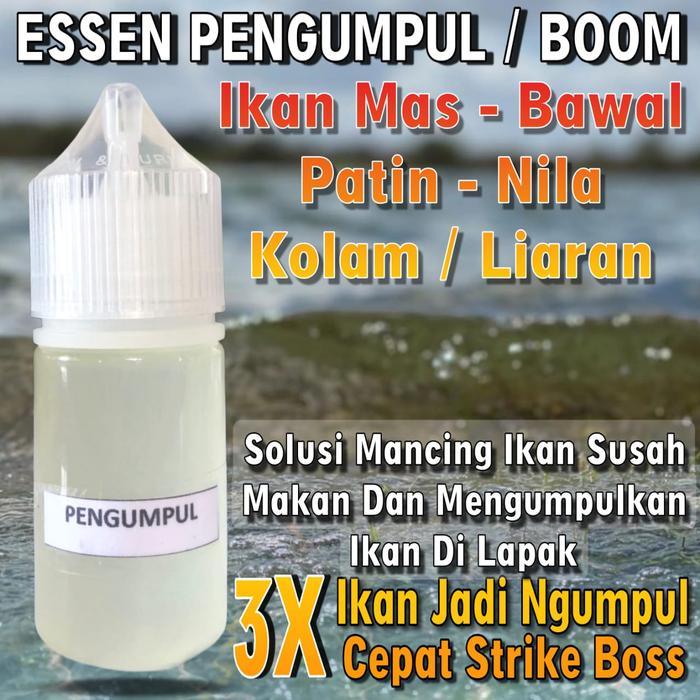 RAJA PODIUM Essen pengumpul semua jenis ikan, Essen bikin ikan kumpul