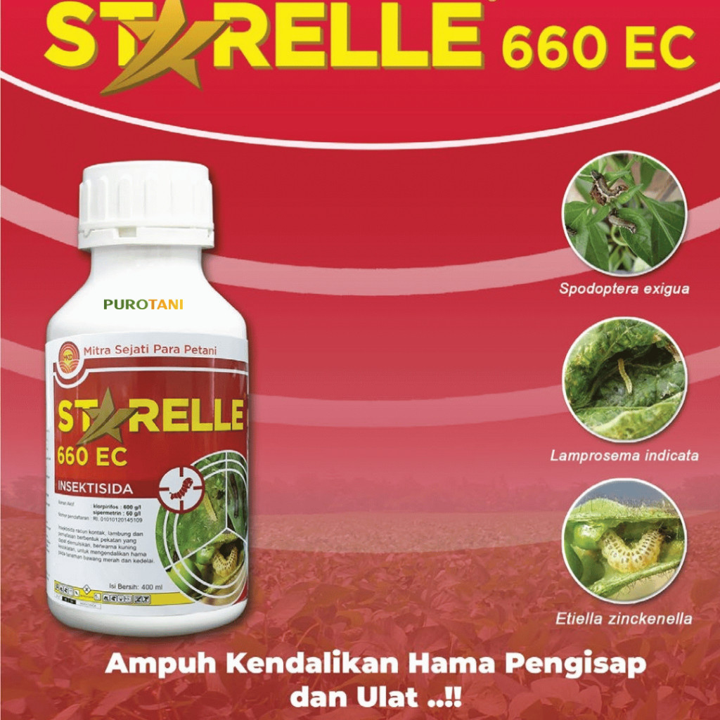 Insektisida Starelle 660EC Mengendalikan Hama Ulat dan Wereng