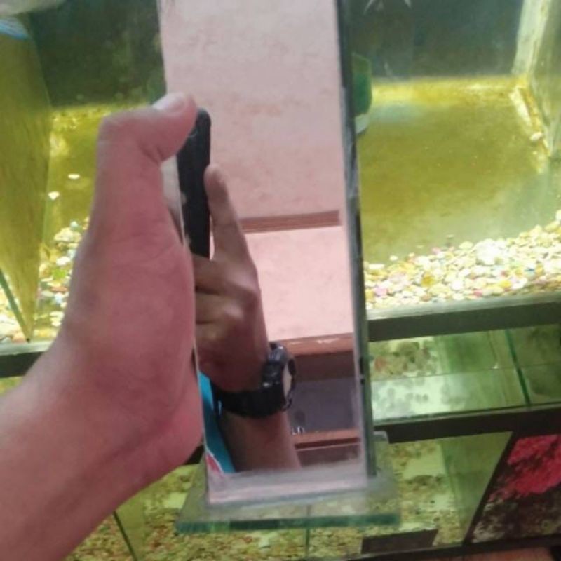 Kaca Cermin untulan 25cm untuk ikan Louhan