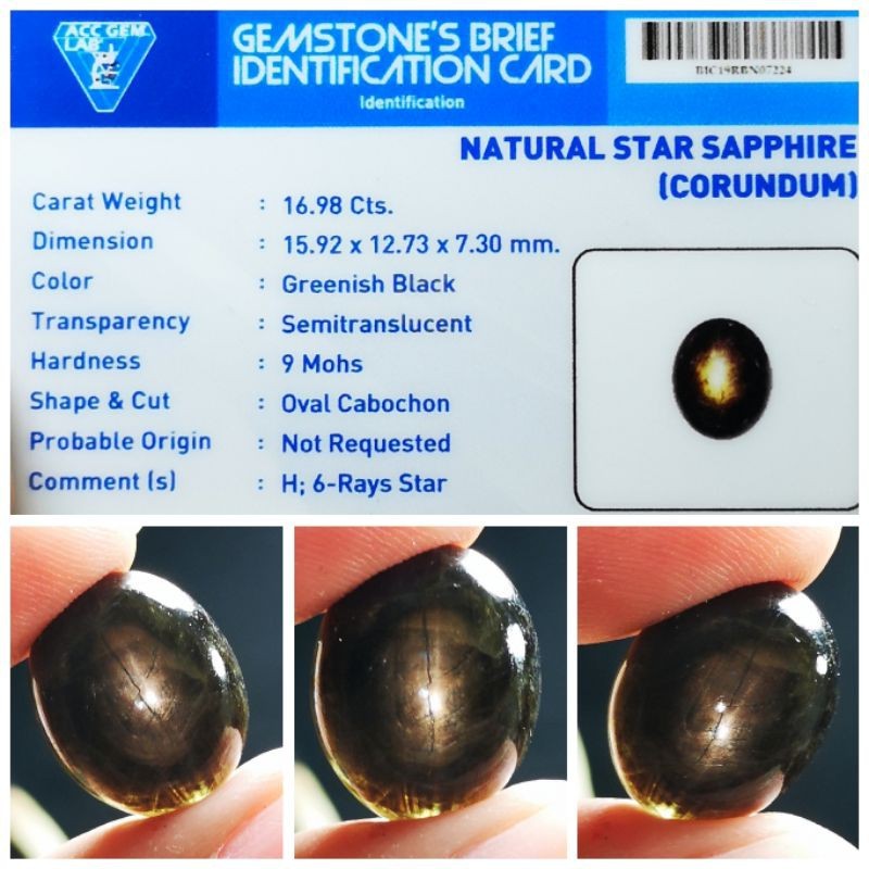 Natural Green Star Sapphire Thailand Tembus Top Colour Hot Star Big Size Plus Memo HQ