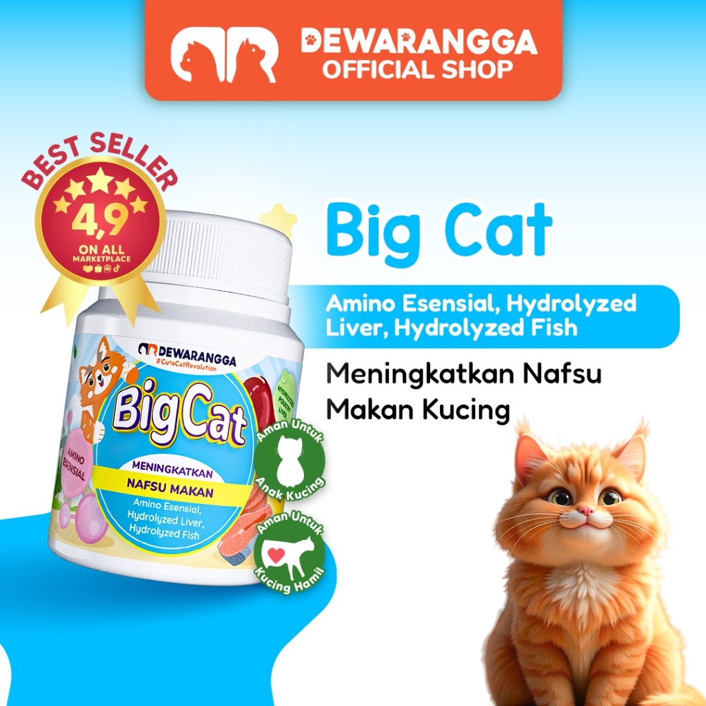 Dewarangga Big Cat Suplemen Kucing Penambah Nafsu Makan Penggemuk Kucing Kurus