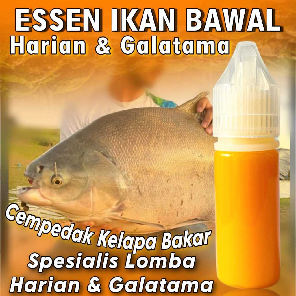 Essen Ikan Bawal Harian KiloGebrus paling Ampuh Dan Gacor 15ml, Essen Ikan Bawal Media cacing, Essen