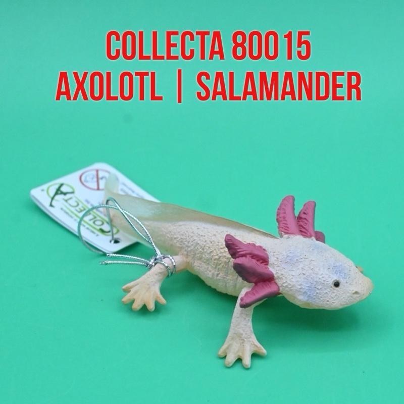 CollectA 80015 Axolotl Salamander Amphibia Ikan Berjalan Meksiko Ambystoma Mexicanum | Mainan Figure