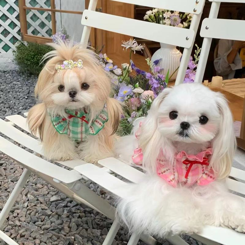 [Pet Wardrobe] Kemeja kotak - kotak lengan mengembang motif kucing dan anjing, gaun putri.