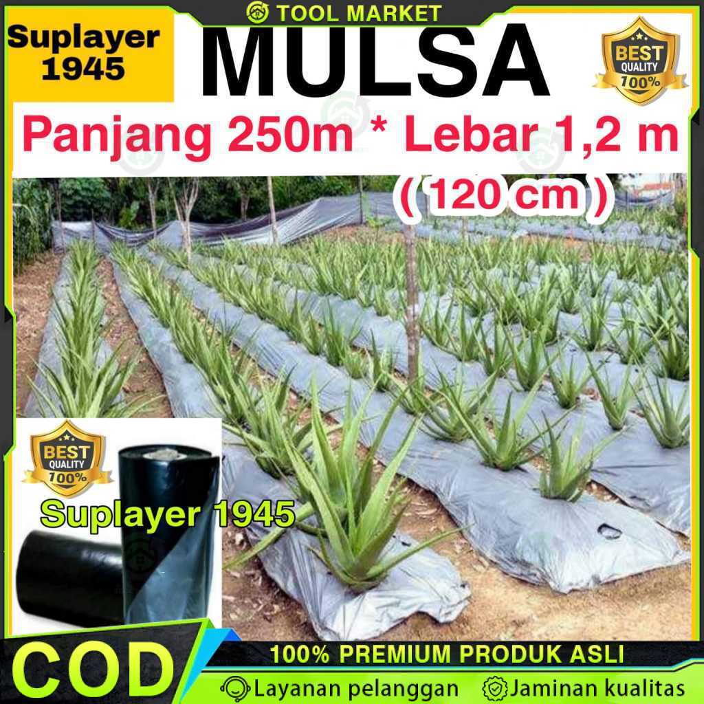 Plastik MULSA 1 ROLL hitam/perak ( Panjang 250 meter x Lebar 1,2 meter ) ROLL