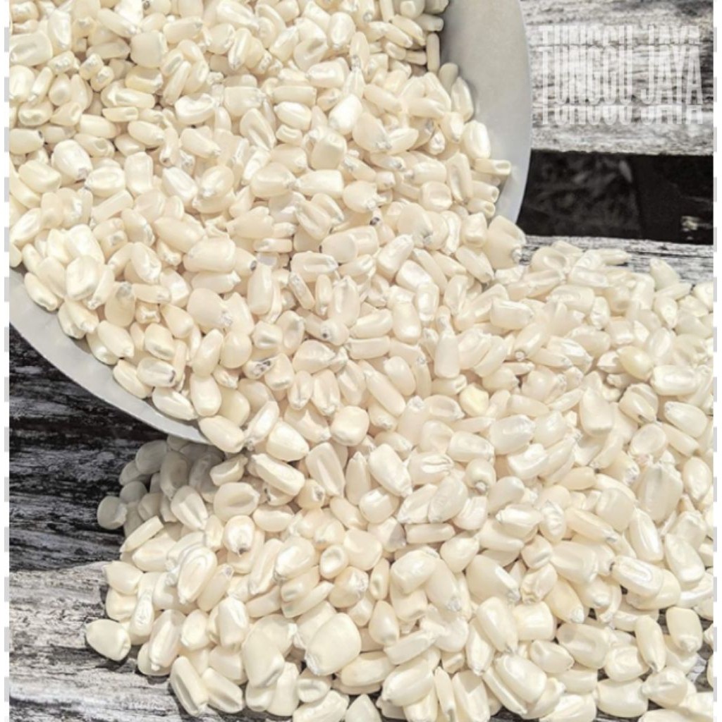 1000 Gram JAGUNG PUTIH KETAN PULUT kering MENTAH ,bahan bubur ,bahan grontol ,bahan cemilan