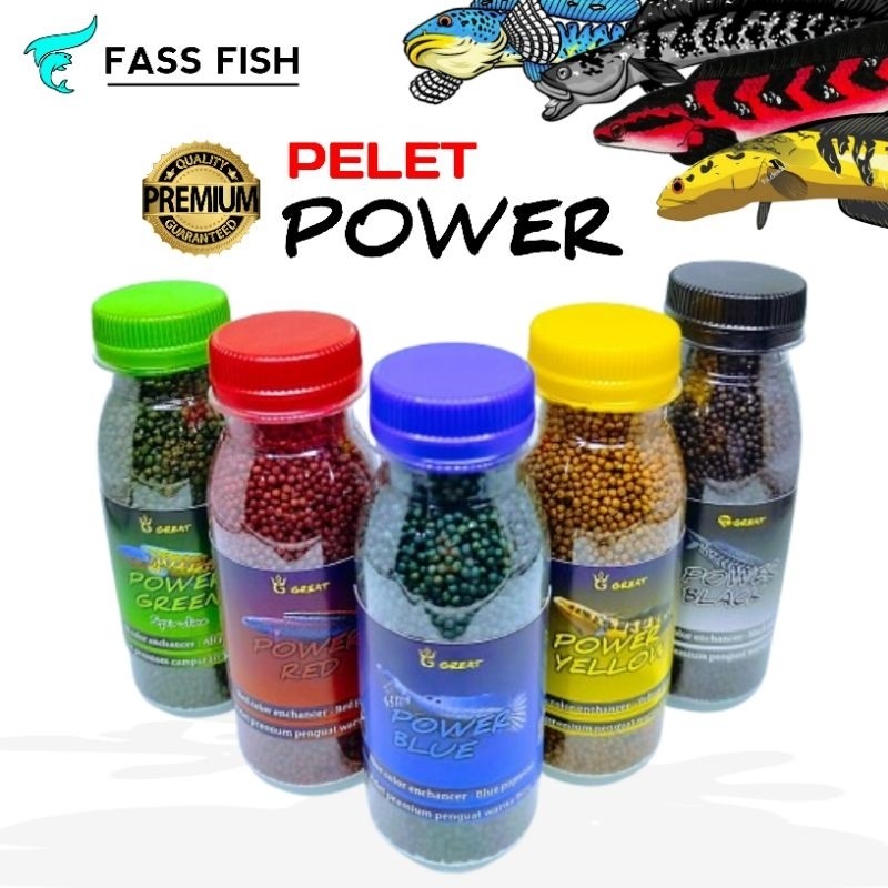 PELET PREMIUM WARNA MERK POWER PAKAN MAKANAN IKAN CHANA BLUE PULCRA ANDRAO YELLOW SENTARUM LIMBATA