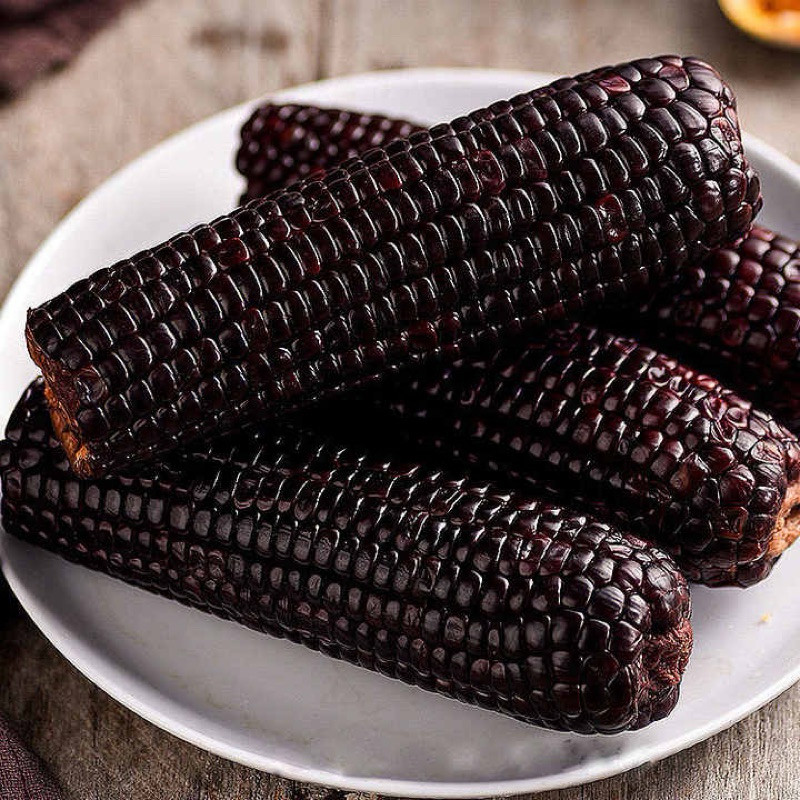 15 Butir  Benih Jagung Hitam | Jagung Ketan Hitam