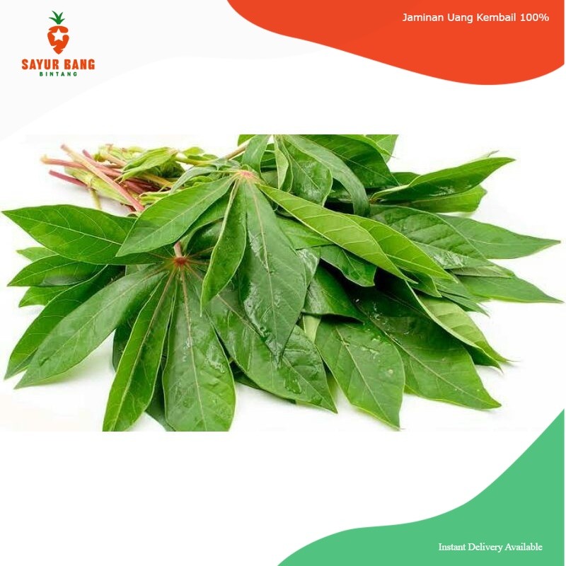 Daun Singkong per Ikat